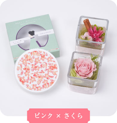 ピンク×さくら